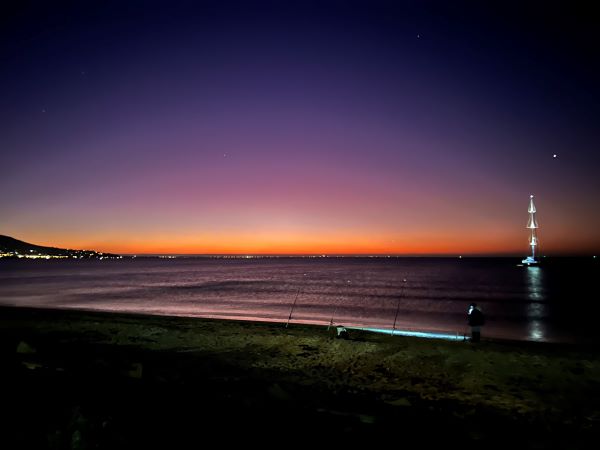 purple haze